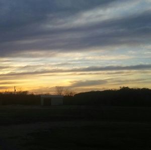 Meet your Posher, Alma